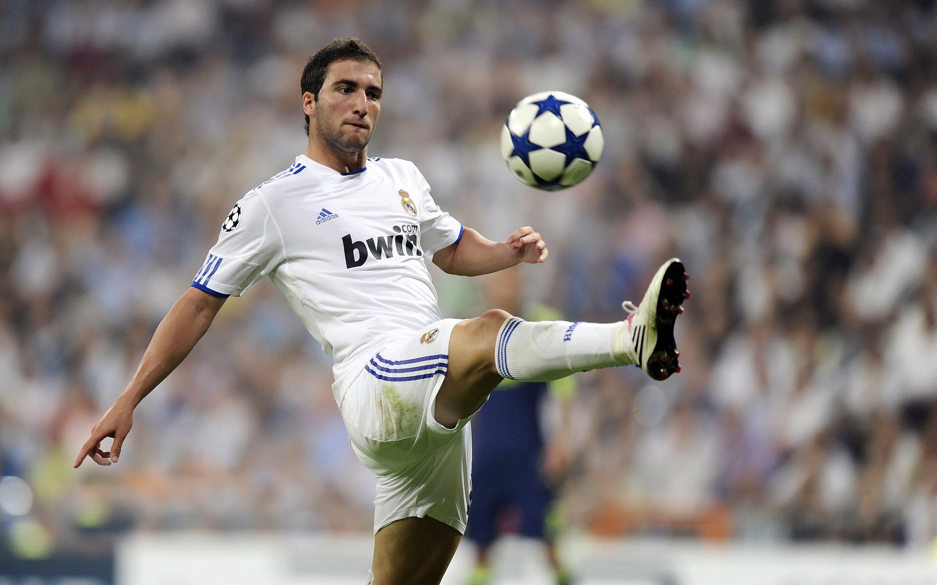 莱比锡红牛新秀迅速融入球队,展现出色个人能力,莱比锡红牛是哪国球队