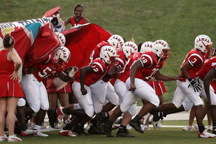 开云官网入口地址-全国青少年皮划艇竞速赛在杭州顺利举行，青少年皮划艇夏令营活动